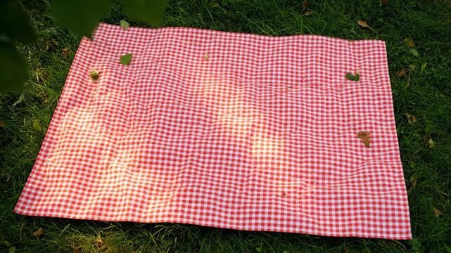 Red and White Gingham Picnic Blanket Spread on Green Lawn Grass Under Sunlight Shadows