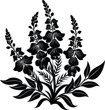 Elegant Black Snapdragon Flowers Floral Vector