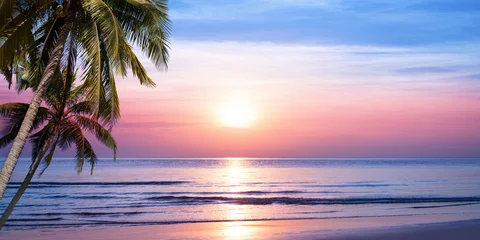 Sea beach sunrise, ocean sunset landscape, paradise tropical island nature, beautiful peaceful morning, coconut palm tree leaves silhouette, pink sky, sun reflection on water, summer holidays, travel © Vera Shestak
