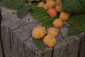 Scattered ripe yellow raspberries with green leaves on a rustic wooden stump. Golden summer harvest close-up. © Inna Nikitina