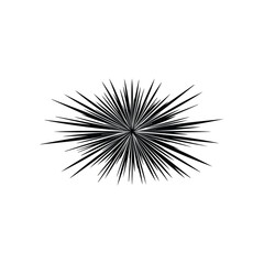 Obraz premium Abstract explosion black and white vector illustration for design element background.
