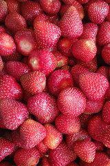 Top view of a pile of freshly picked ripe strawberries. Vibrant red berries filling the frame, creating a juicy summer texture. Close-up shot focusing on details and fruit seeds © Alexander
