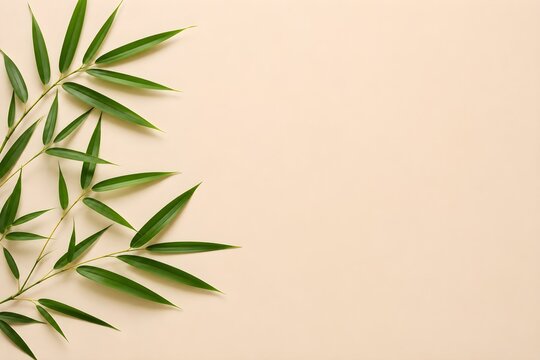 Top view of fresh green bamboo leaves on a clean beige background with generous copy space. Minimal botanical flat lay ideal for branding, websites, advertising, presentations, and social media.