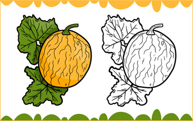 Coloring fruit page, melon with large green leaves and black outline, educational clipart for preschool education, printable worksheets, homeschooling and children coloring books, vector illustration