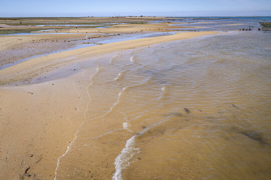 Deserted beach on Culatra Island, Ria Formosa Natural Park, Olh&atilde;o, Algarve, Portugal