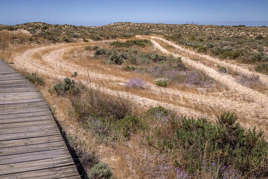 Boardwalk across Culatra Island, Ria Formosa Natural Reserve, Olh&atilde;o,  Algarve, Portugal 
