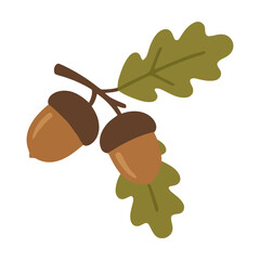 Two brown acorns with green oak leaves on a branch illustration Vector © azad