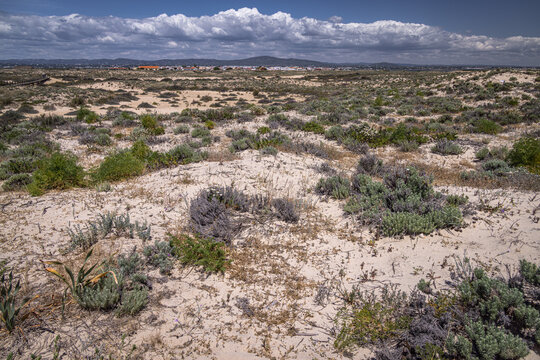 View across Culatra Island, Ria Formosa Natural Reserve, Olh&atilde;o,  Algarve, Portugal, 