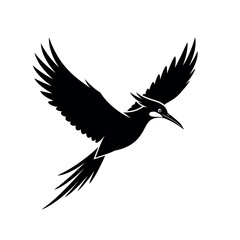Fototapeta premium Black bird in flight with wings spread wide.