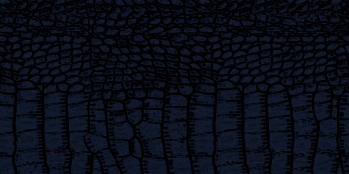 Luxury Dark Blue Crocodile Embossed Leather Texture Background for High-End Handbags and Fashion Footwear