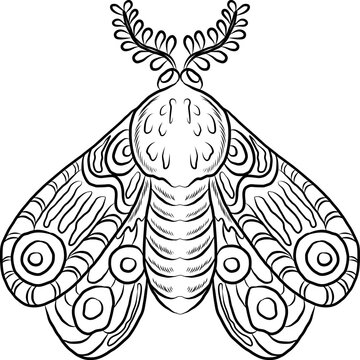 Intricate black and white line art illustration of a stylized luna moth featuring ornamental wings with abstract patterns and decorative leafy antennae. Hand-drawn vector style coloring page.