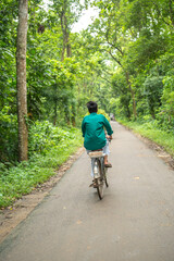 Obraz premium A young man riding a bicycle on a scenic road through a lush green forest