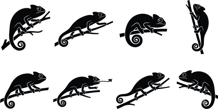 Chameleon Silhouette Set Featuring Exotic Lizards On Tree Branches Isolated On White Background