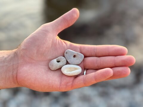 An open hand holds small, naturally holed stones, often known as hag stones or adder stones. A shallow depth of field isolates the palm against a blurred, soft-focused beach background.