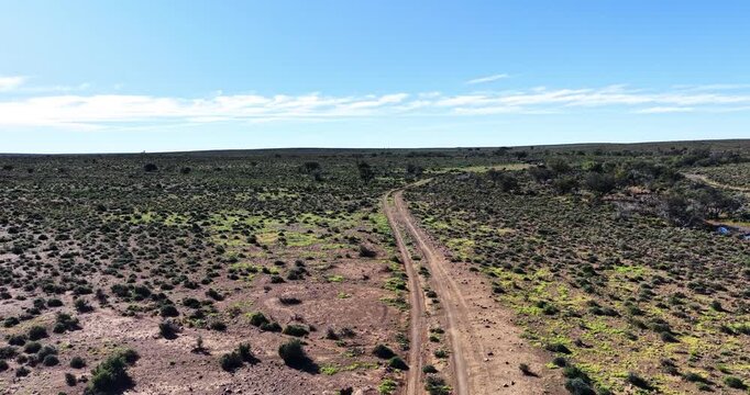 Aerial drone image overlooking the vast Karoo plains near Prince Albert in the Western Cape. The winding dirt road and patches of fresh green vegetation illustrate the transformation of the landscape.