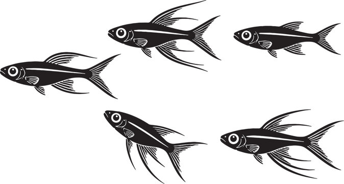 Freshwater Ornate Blue Eye Silhouette Icon Set Black Vector Nano Aquarium Fish Collection