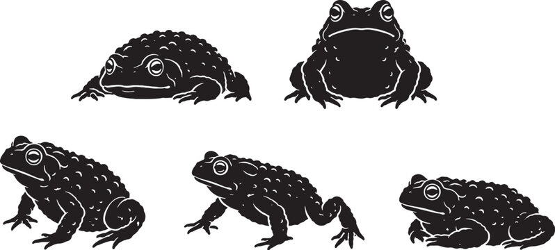 Fire Bellied Toad Silhouette Icon Set Black Vector Amphibian Wildlife Collection