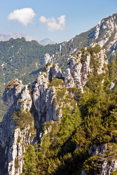 Jagged limestone mountain peaks rise above the alpine forests in an adventure tourism destination, perfect for outdoor exploration, Julian Alps Natural Park, Alba Valley, Friuli Venezia Giulia, Italy.