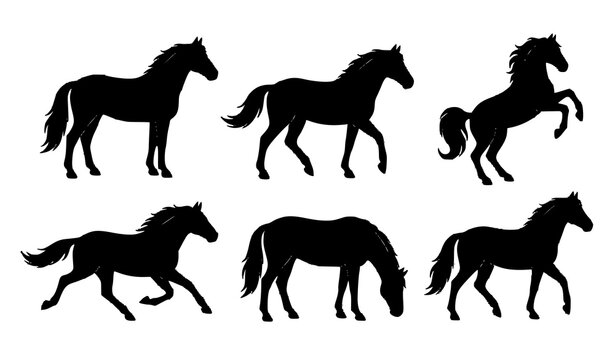 Set of Six Dynamic Black Horse Silhouettes Showing Movement