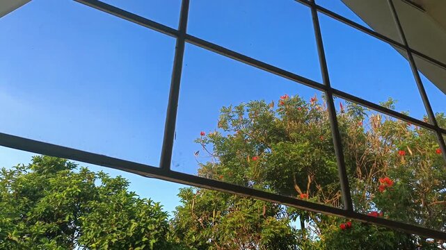 View of green trees and blue sky through triangular glass window