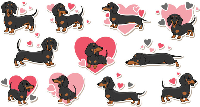Cute cartoon black and tan dachshund dog sticker set with pink hearts for Valentine Day romantic pet animal vector illustration.
