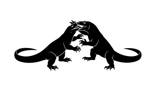 Two komodo dragons facing each other in a confrontation