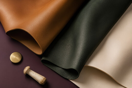 &Eacute;chantillons de cuir de myc&eacute;lium pour mode durable