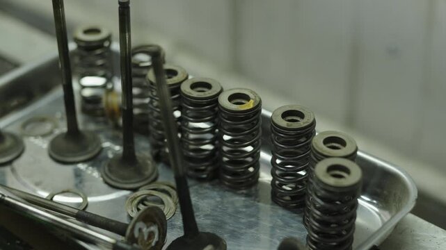 Metal engine valves and springs arranged neatly inside steel workshop tray.