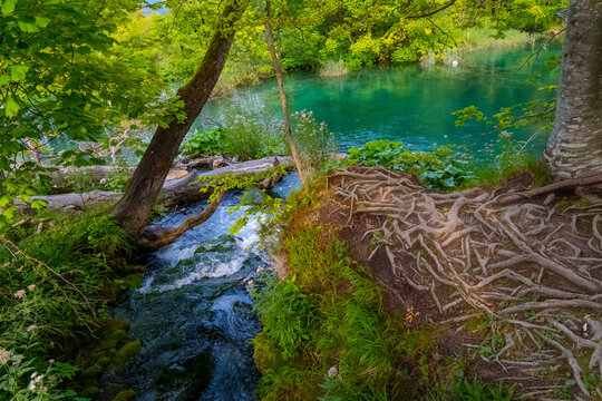 Plitvice Lakes National Park Scenics. Croatia.