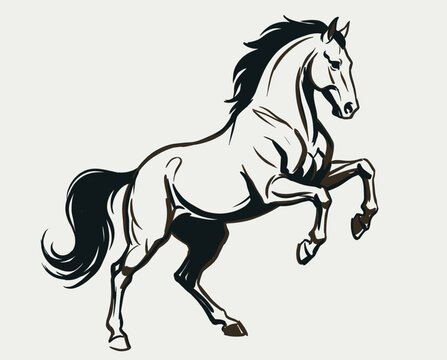 Rearing horse illustration, stallion line art, mustang silhouette, equestrian graphic, wild horse sketch, horse logo, animal art, vector.