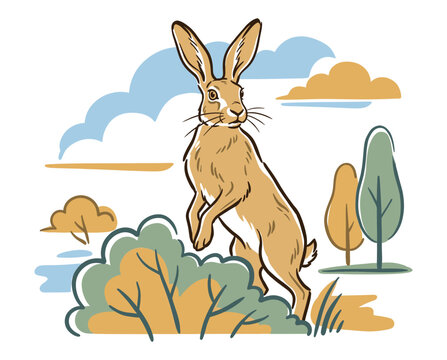 Hare illustration, jackrabbit drawing, wild rabbit art, forest animal print, vintage nature poster, bunny landscape, wildlife sketch
