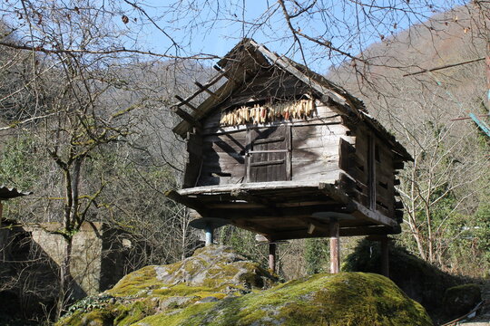 A traditional Georgian farm building in Adjara