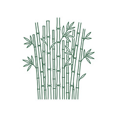 Obraz premium Minimalist vector line art icon of a compact elegant bamboo grove plant stalk cluster featuring clean botanical contours for organic natural design
