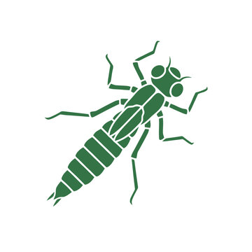 Green dragonfly nymph illustration on white background, insect, macro, nature, wildlife, vector art