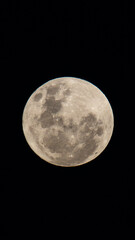 Detailed Full Moon Against Deep Blue Night Sky High-resolution image of a bright full moon with visible craters and surface details against a deep blue night sky. © Luis
