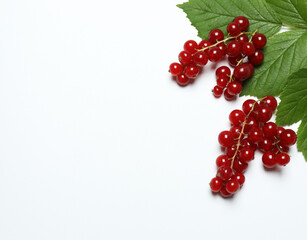 Redcurrant berries with green leaves on a white background. © Pixora ST 