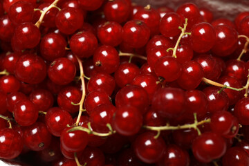 Redcurrant berries with green leaves on a white background. © Pixora ST 