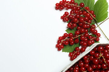 Redcurrant berries with green leaves on a white background. © Pixora ST 
