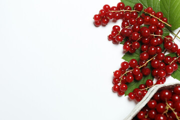 Redcurrant berries with green leaves on a white background. © Pixora ST 