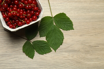 Redcurrant berries with green leaves on a white background. © Pixora ST 