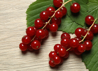 Redcurrant berries with green leaves on a white background. © Pixora ST 