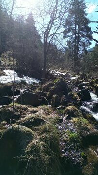 Aerial Past Fallen Log in Rocky Forest Stream 4k drone
