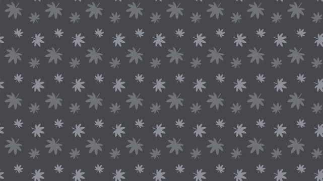 Gray japanese momiji maple leaves pattern scrolling, autumn seamless loop background