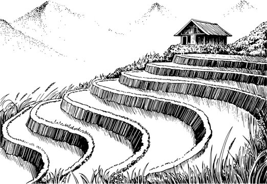 Una tinta en blanco y negro de una caba&ntilde;a tradicional con vistas a pintorescos campos de arroz en terrazas en las monta&ntilde;as
