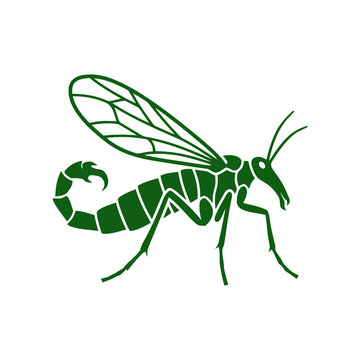 Scorpionfly Insect Line Art, Green Silhouette on White Background, Entomology Illustration