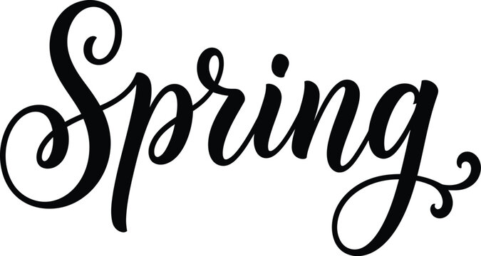 Spring Elegant Calligraphy Script Lettering with Decorative Swirl Black Typography Design on Transparent Background for Seasonal Quote