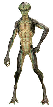 3D Rendering Green Alien on White