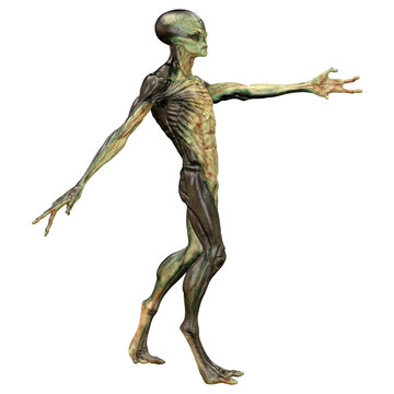 3D Rendering Green Alien on White