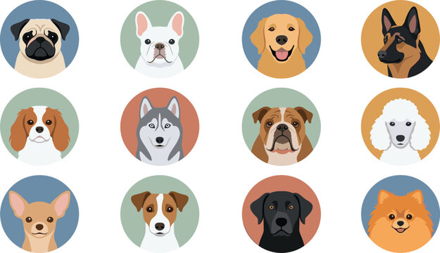 Dog Breed Portrait Collection with Pug French Bulldog Golden Retriever German Shepherd Husky Poodle and Cute Pet Avatar Vector Illustration Set