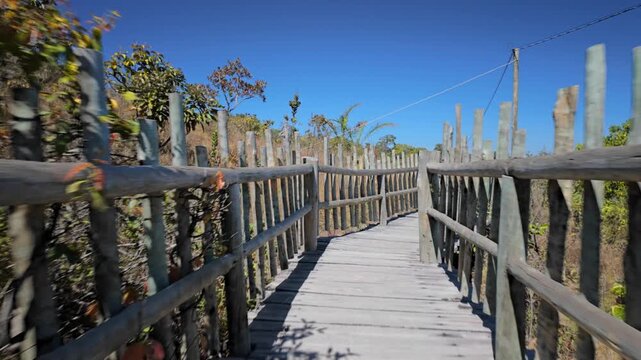 POV walking along a rustic wooden boardwalk in tropical savanna